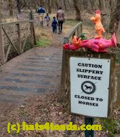 /home//u458753944/public_html/sourcegallery//Chickens/Valley Forge/IMG_20210102_105137035_HDR.jpg